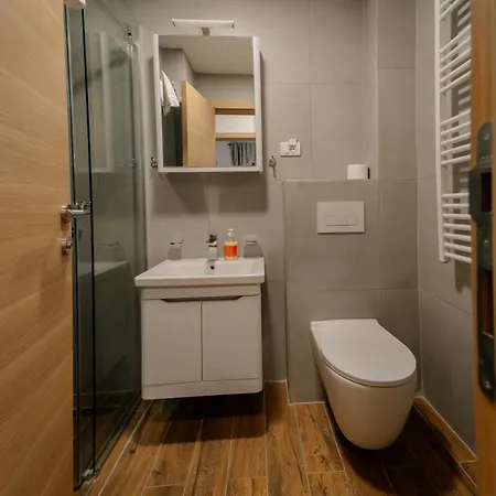 Apartment Mokrogorka *